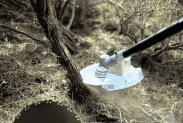 Kerti vágótárcsa - Image 5