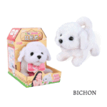 Bichon