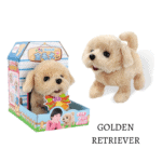 Retriever