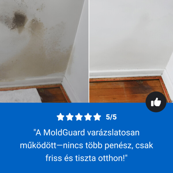 MoldGuard - Penészeltávolító és Hosszú Hatású Védő Spray - Image 8