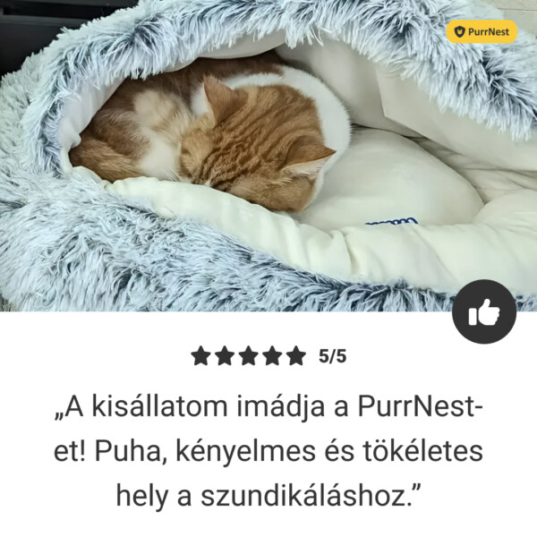 PurrNest – Antistressz Ágy Állatoknak - Image 7